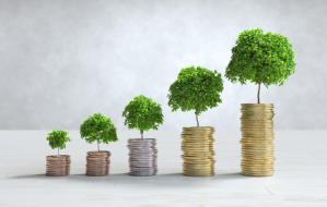 Growing Your Wealth